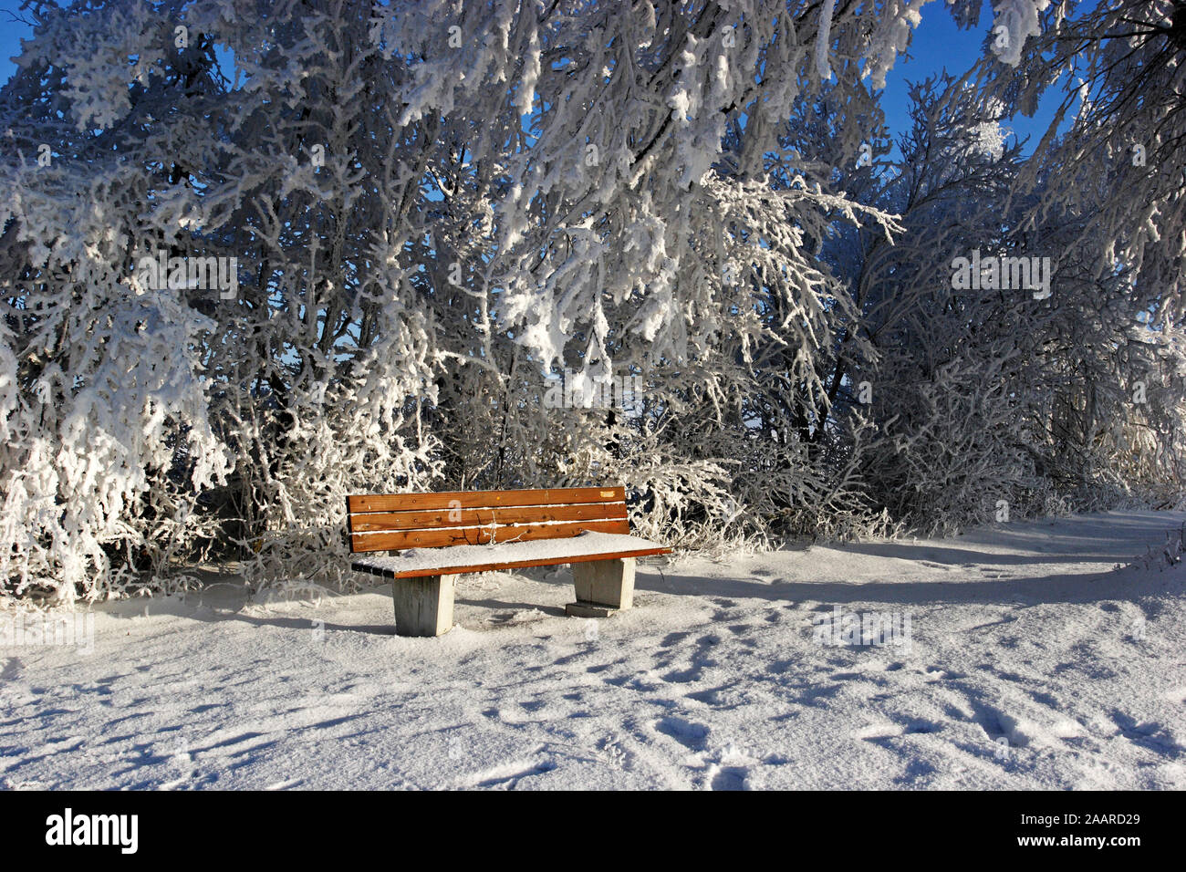 Sitzbank im Winter mit Raureif Stock Photo