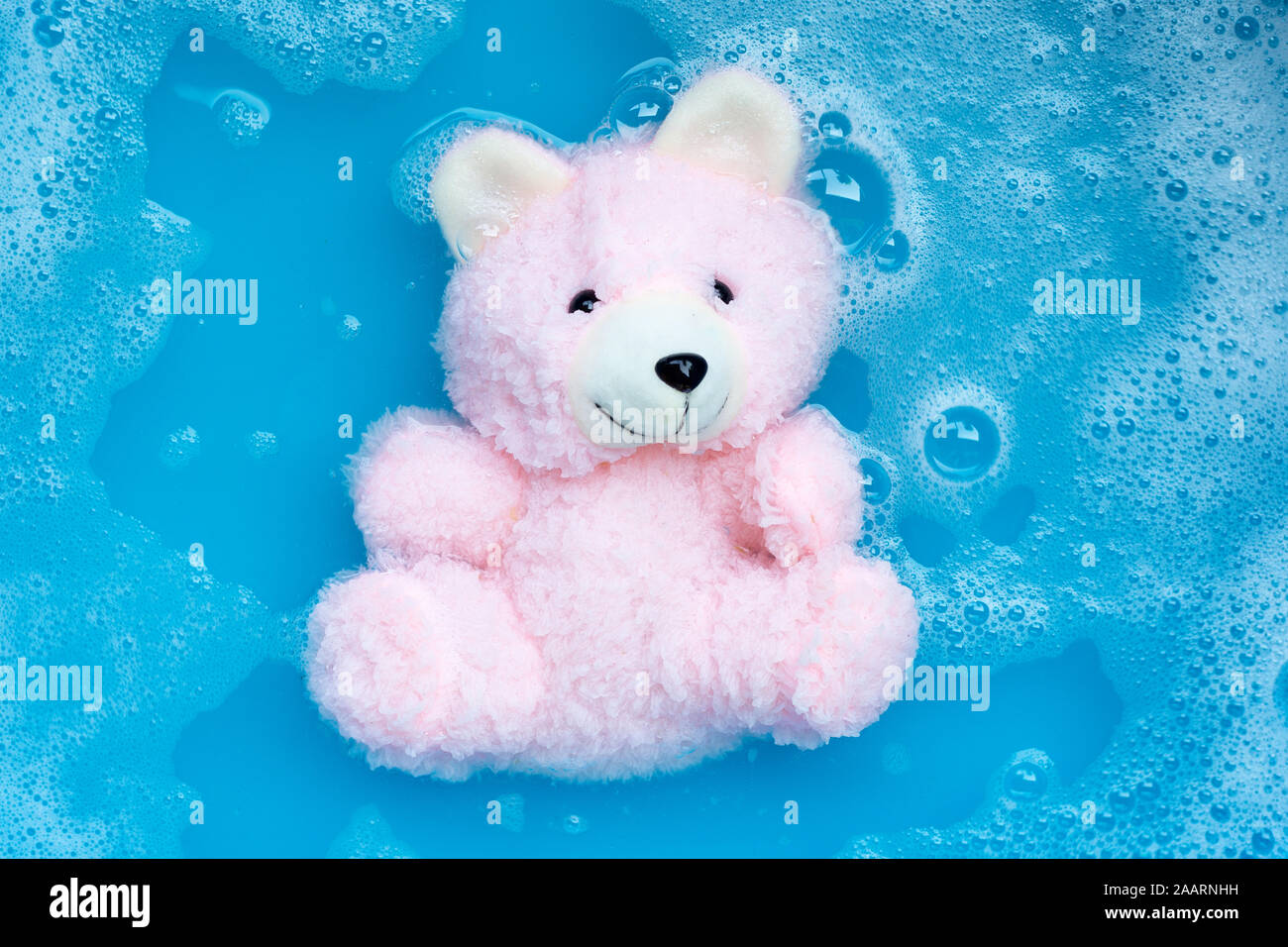 Soak toy bear in laundry detergent water dissolution before washing