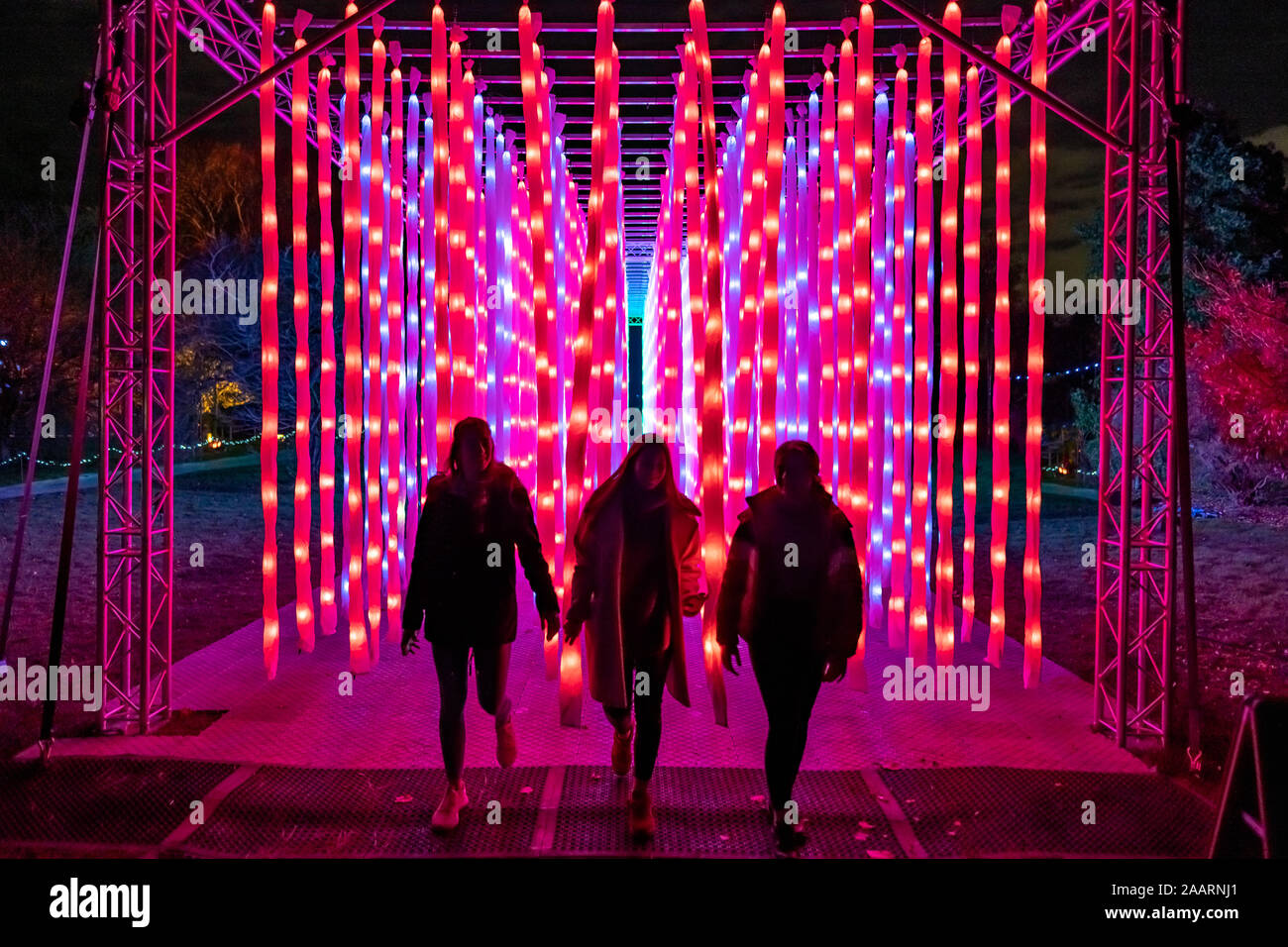 London, UK. 19th Nov 2019. Christmas at Kew winter lights multi-sensory installations. Credit: Guy Corbishley/Alamy Live News Stock Photo