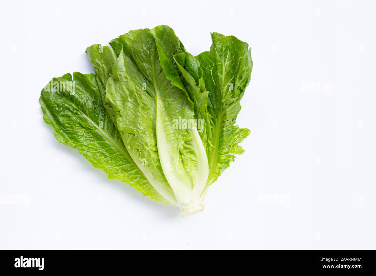 Fresh romaine lettuce on white background. Stock Photo