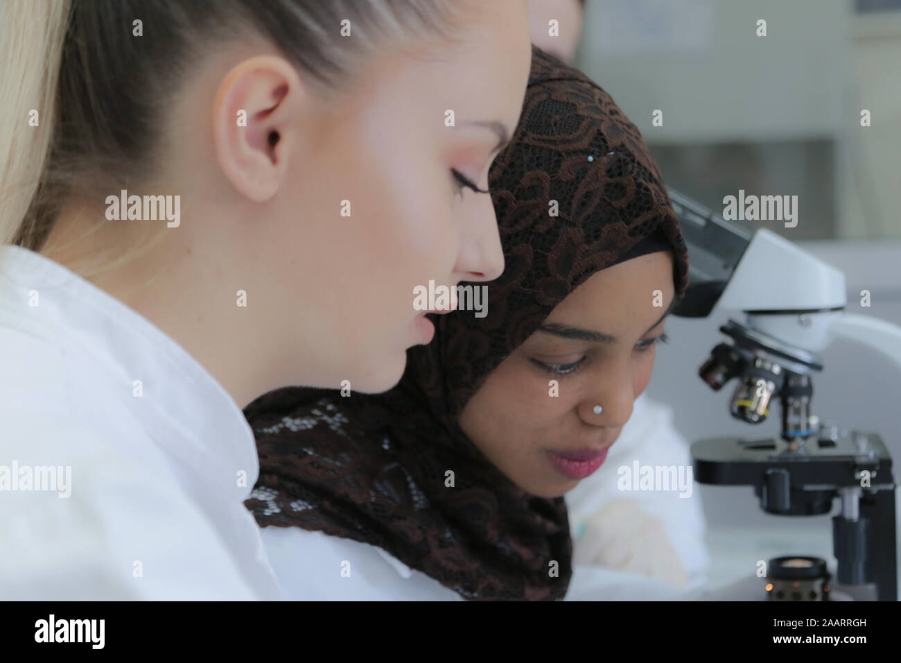 Two multiethnic young female scientists doing experiments in laboratory ...