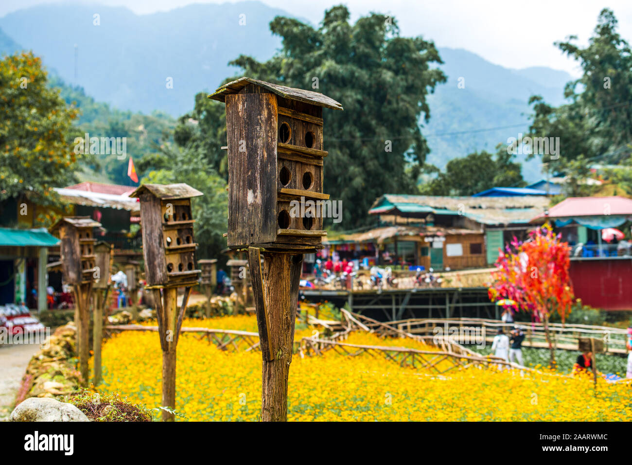 Little bird boxes line fields full of bright yellow flowers in the small mountain village of Cat Cat in Northern Vietnam, near Sapa Stock Photo