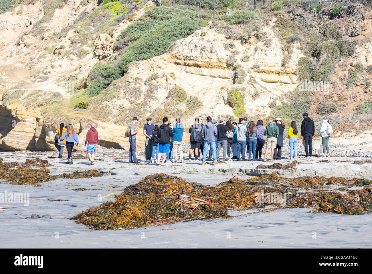 Group of people at Tourmaline Beach on a November morning. San Diego, California, USA. Stock Photo