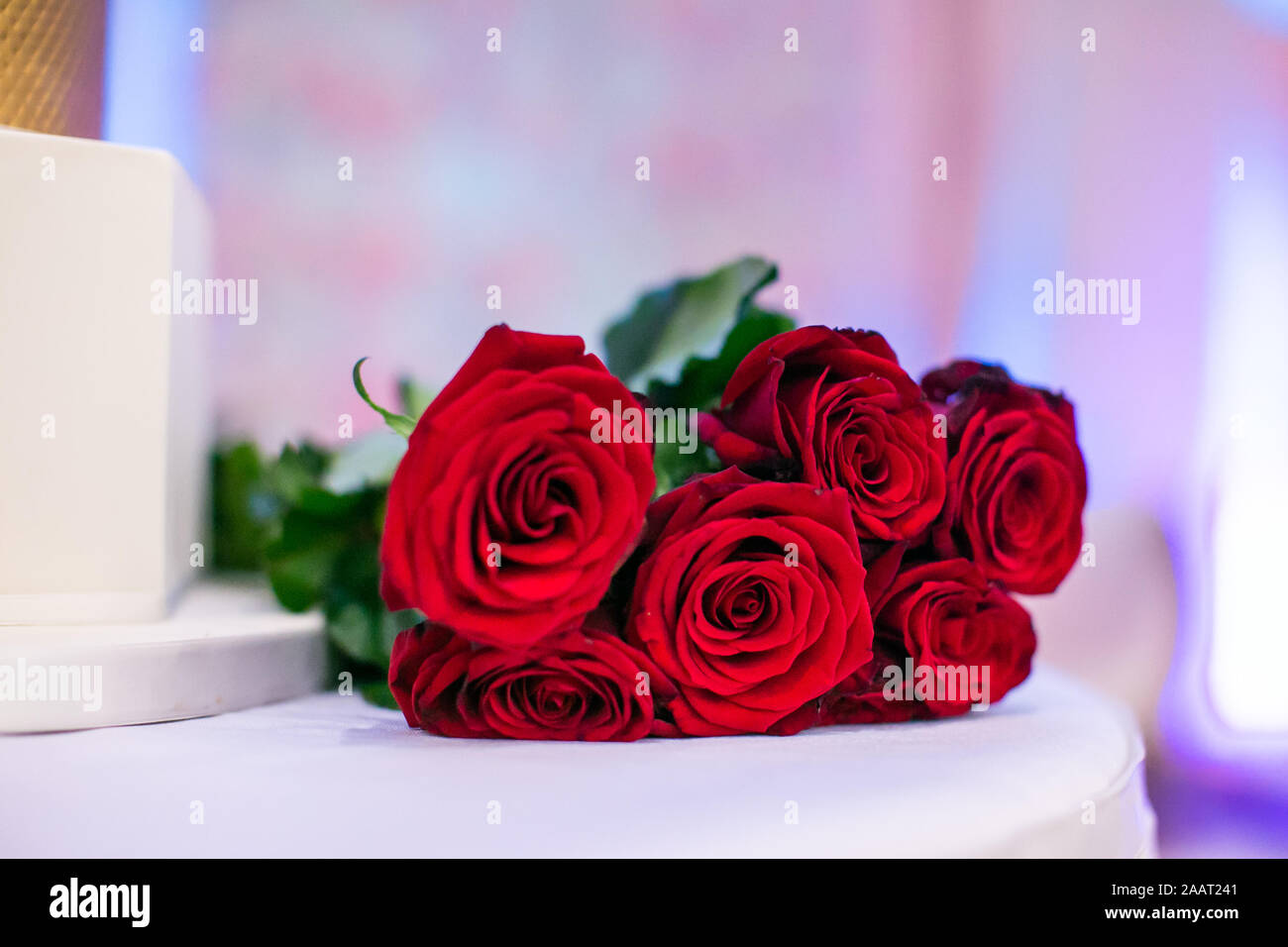 Red roses close up hi-res stock photography and images - Alamy