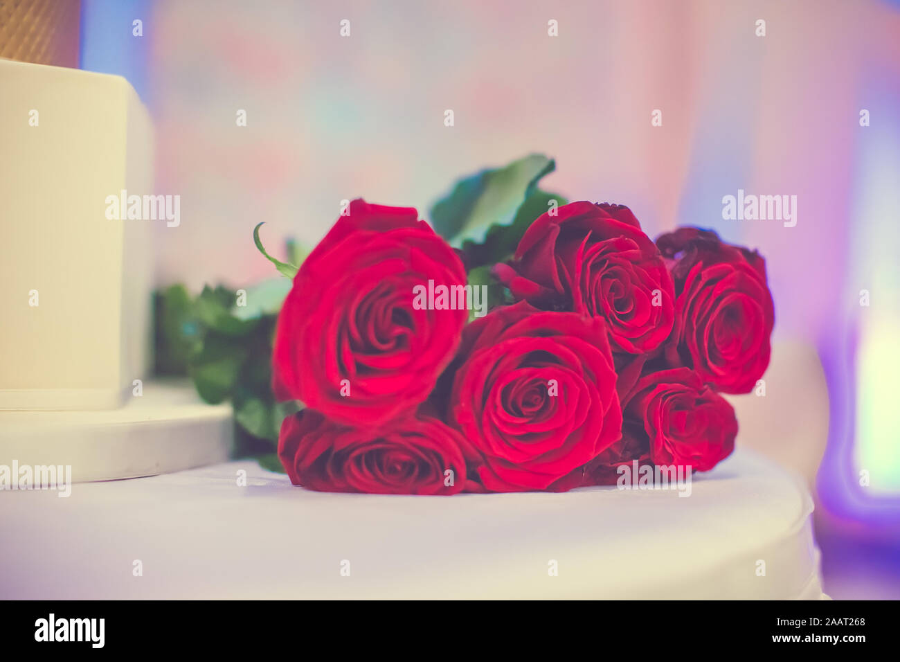 Red roses close up hi-res stock photography and images - Alamy