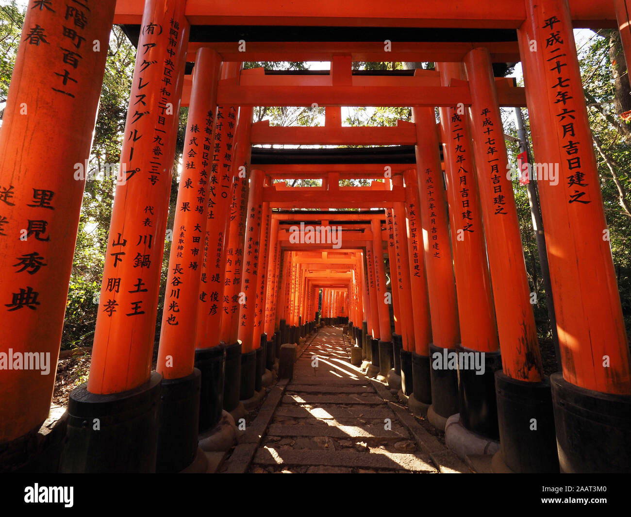 Torii gates in Fushimi Inari Taisha Shrine in Kyoto, Japan Stock Photo ...