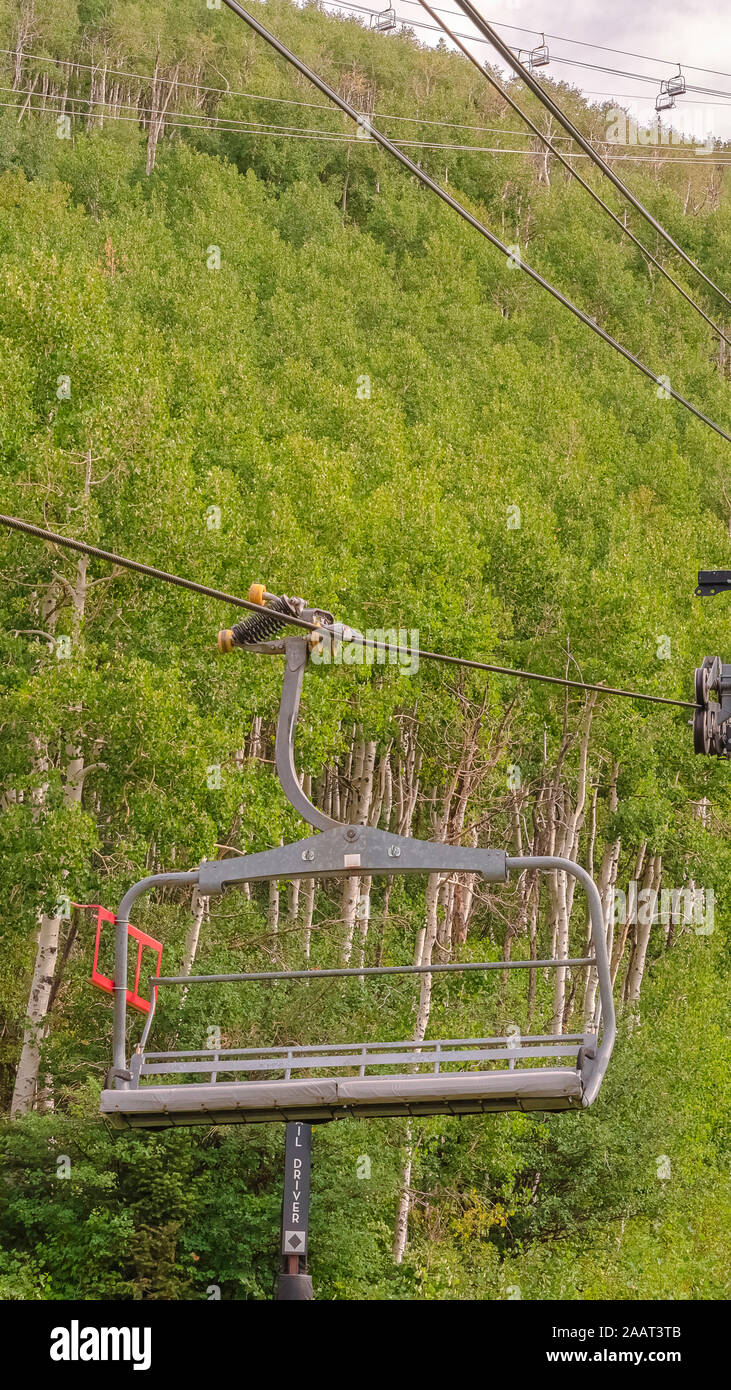 Vertical Chairlifts on cables over ski mountain with thick green trees