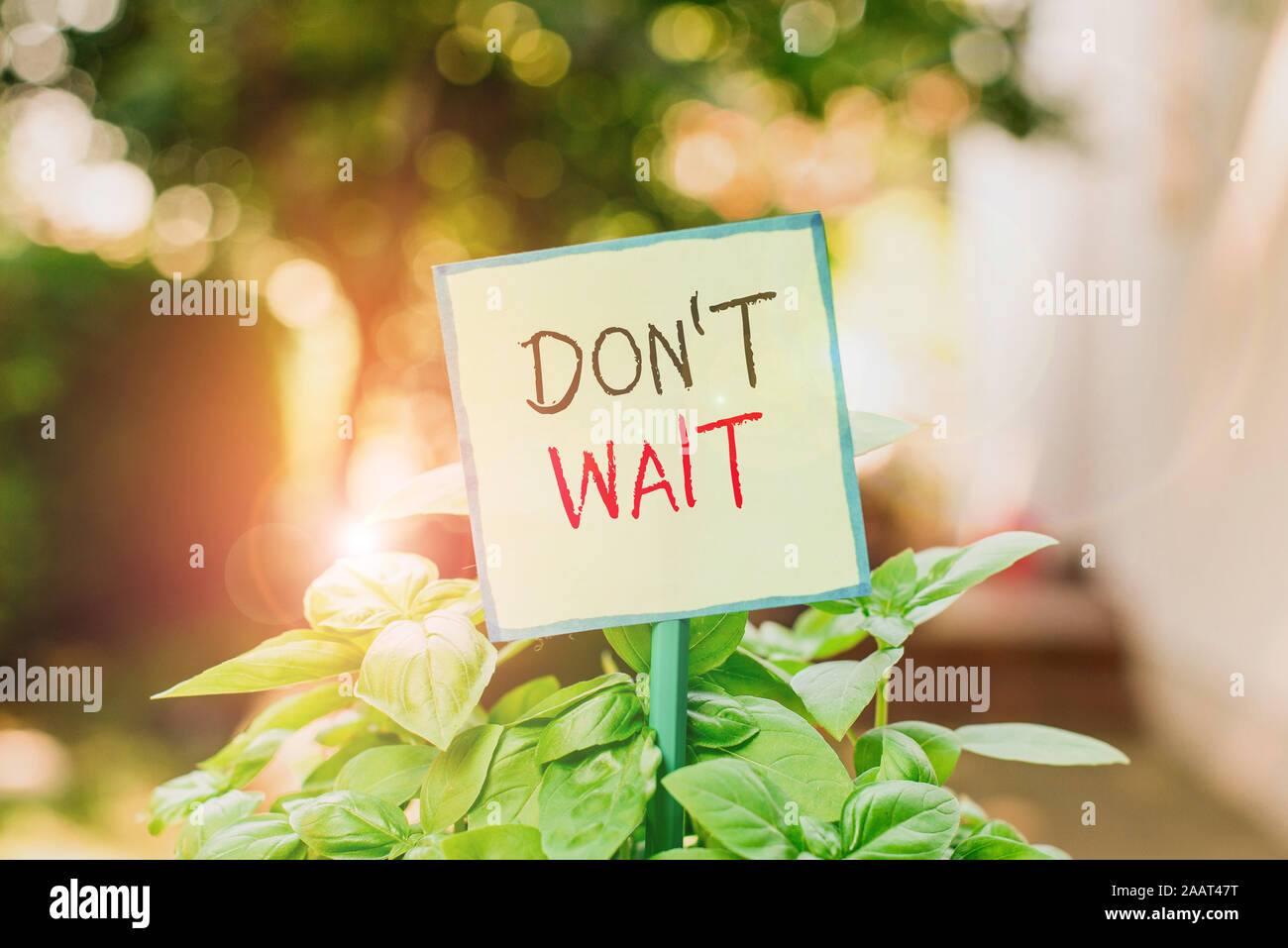Conceptual hand writing showing Don T Wait. Concept meaning Take action now and do something for a purpose Act quickly Plain paper attached to stick a Stock Photo