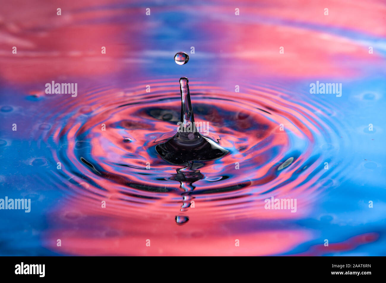 Single water drop at top of splash. Vibrant red and blue colors, high speed water drop photography Stock Photo