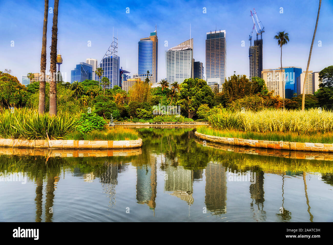 High-rise towers of Sydney city CBD above green trees and grass of Sydney Botanic Gardens reflecting in waters of water pond under blue sky. Stock Photo