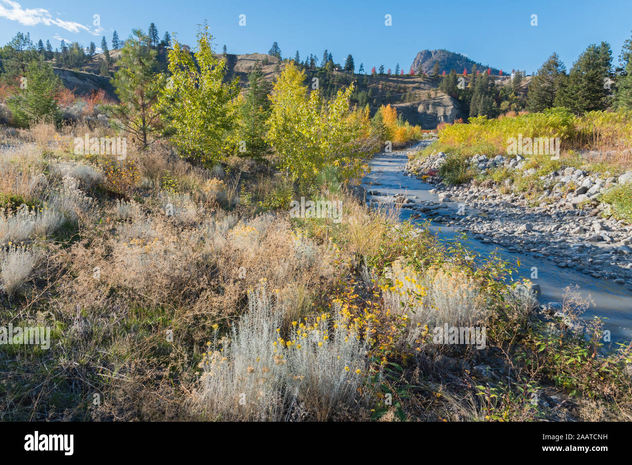 Kettle river british columbia hires stock photography and images Alamy