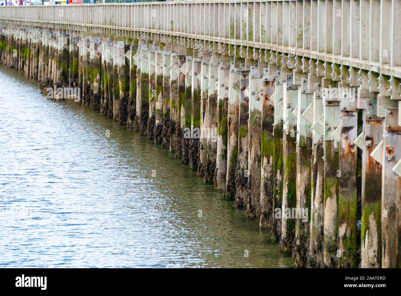 View along a line of worn old wooden supports for an old jetty showing leading lines Stock Photo