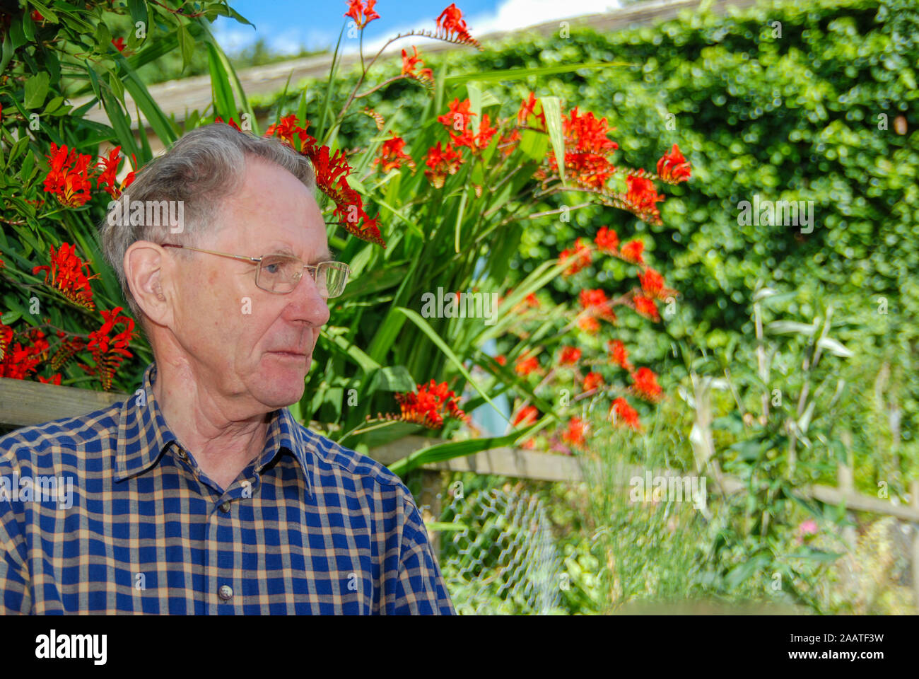 Sad elderly man sits alone on a sunny day Stock Photo