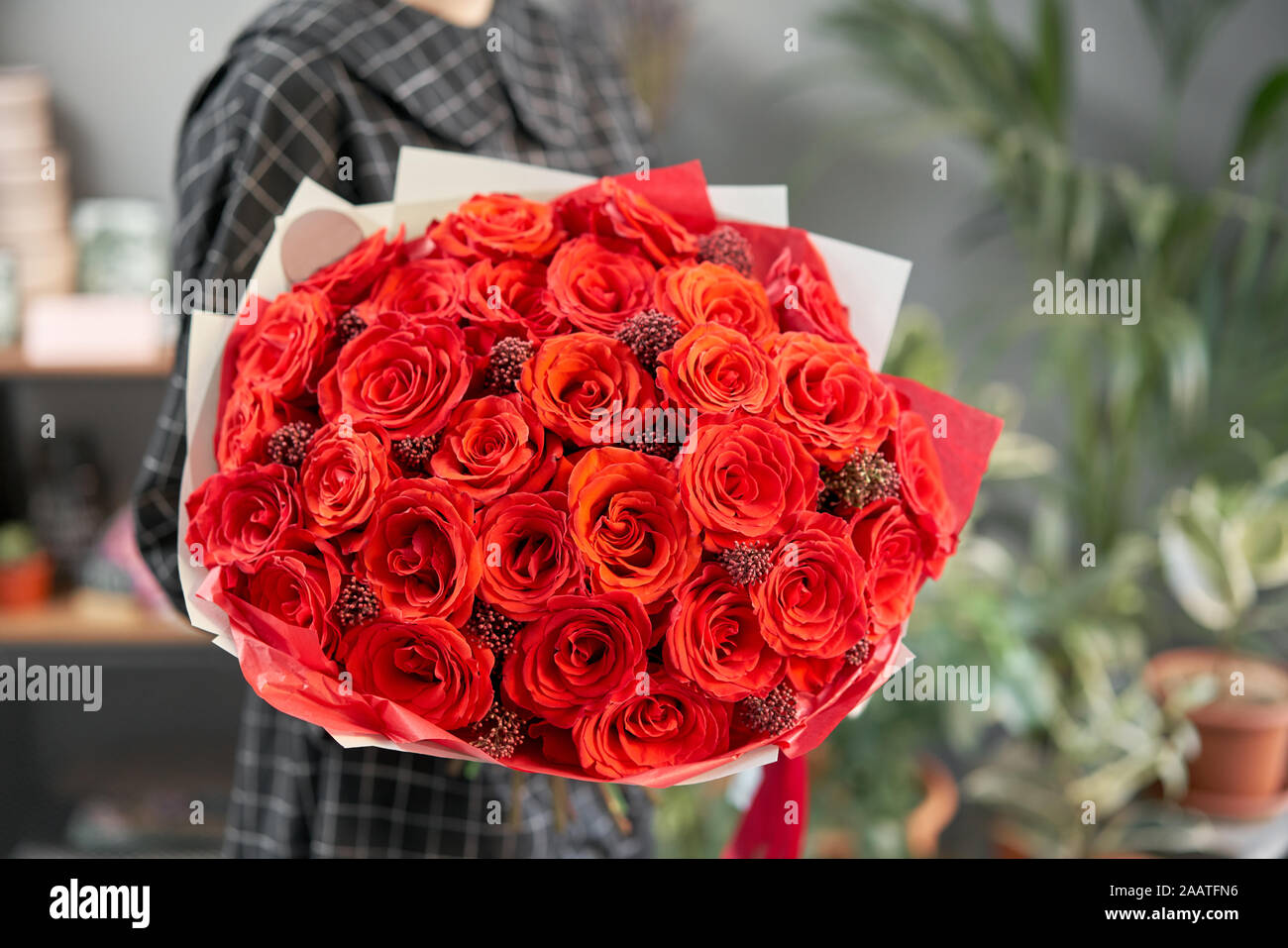 Mono bouquet of red roses in womans hands. European floral shop. the work of the florist at a flower shop. Delivery fresh cut flower. Stock Photo