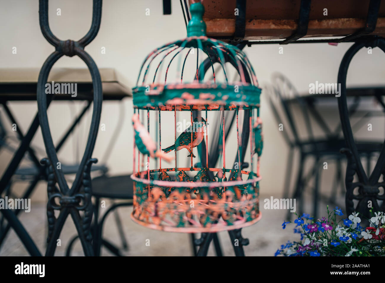 Hanging bird cage decoration Stock Photo - Alamy