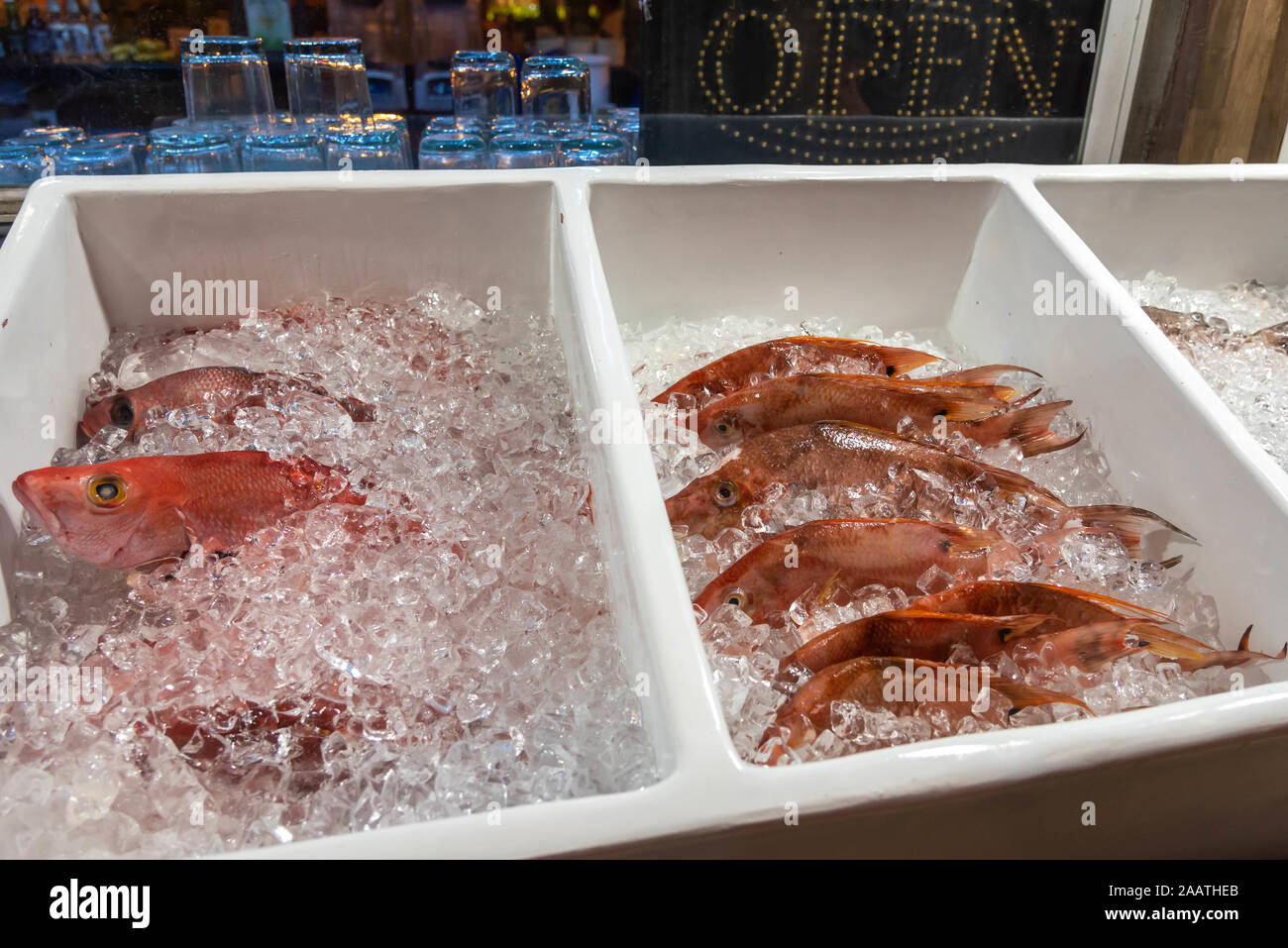 Fresh fish, straight off the boat, hogfish and red snapper pictured, displayed in the ice tub in front of a local Belizean restaurant in San Pedro . Stock Photo