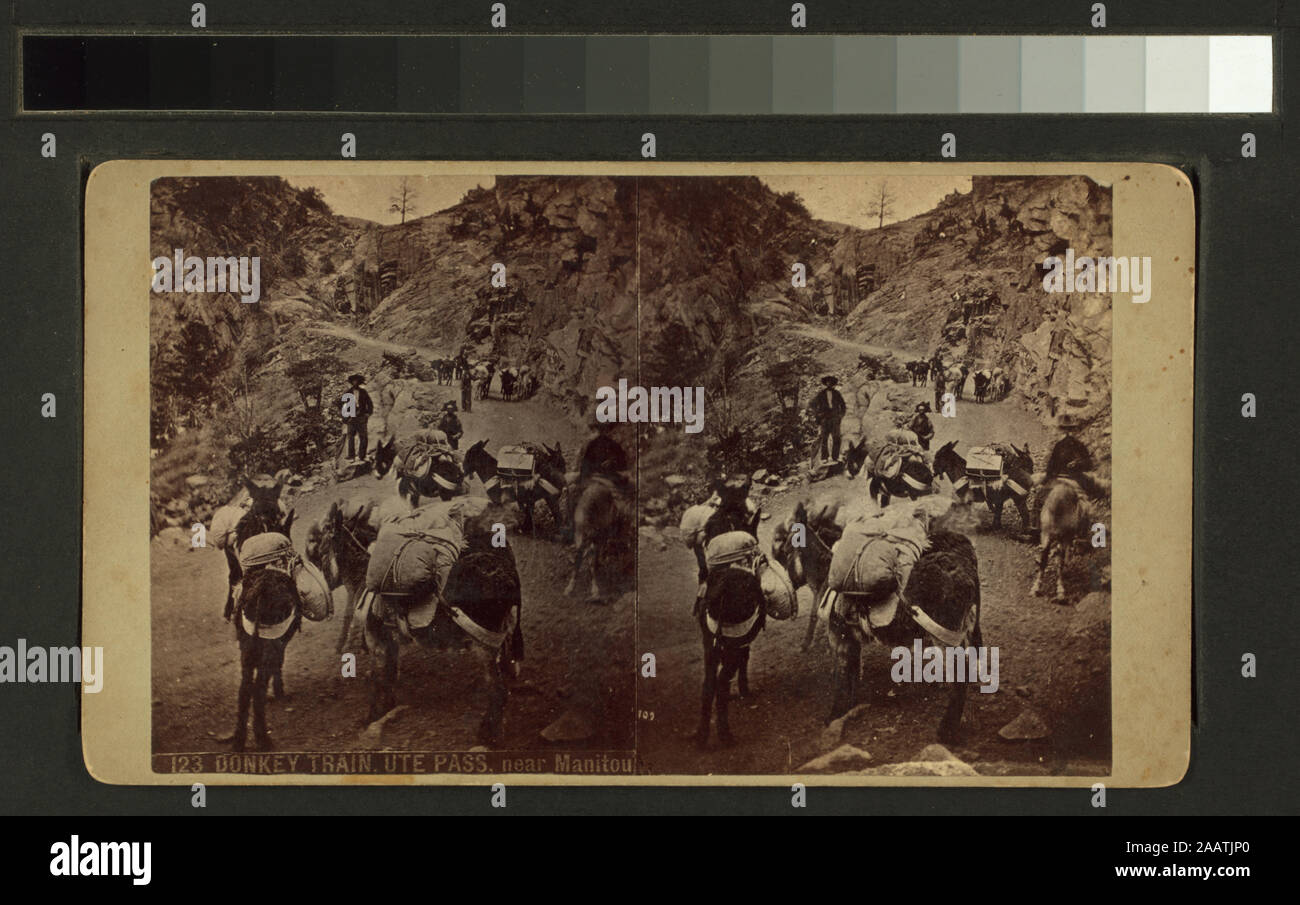 Donkey train, Ute Pass, near Manitou Donkey train, Ute Pass, near ...
