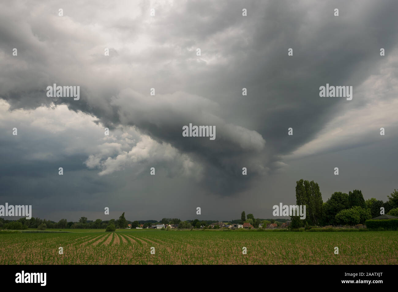 Shelf cloud of a strong thunderstorm over the landscape of Flanders ...