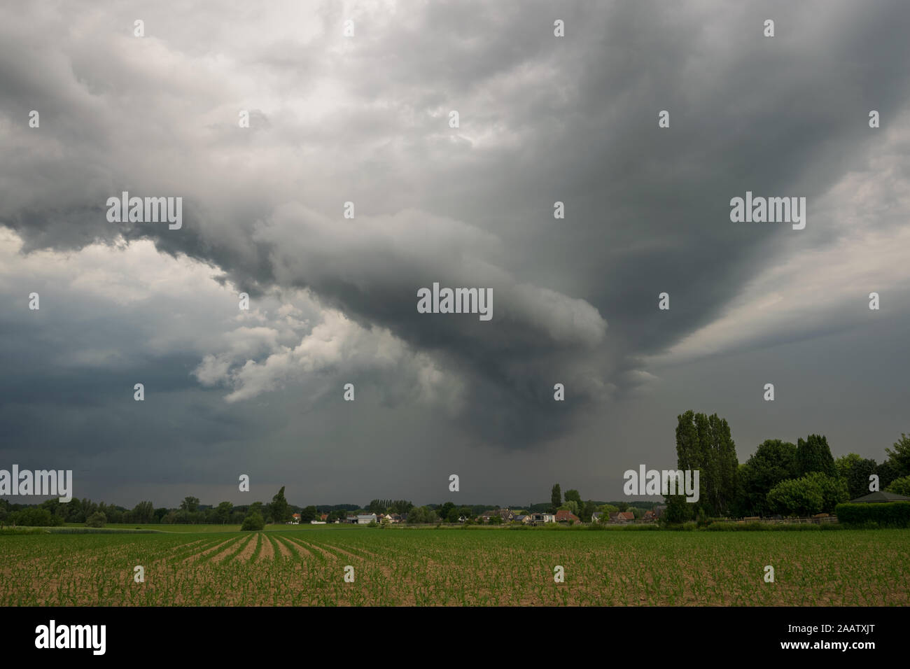 Shelfcloud of a strong thunderstorm over the landscape of Flanders, Belgium. The dramatic sky was followed by severe windgusts. Stock Photo