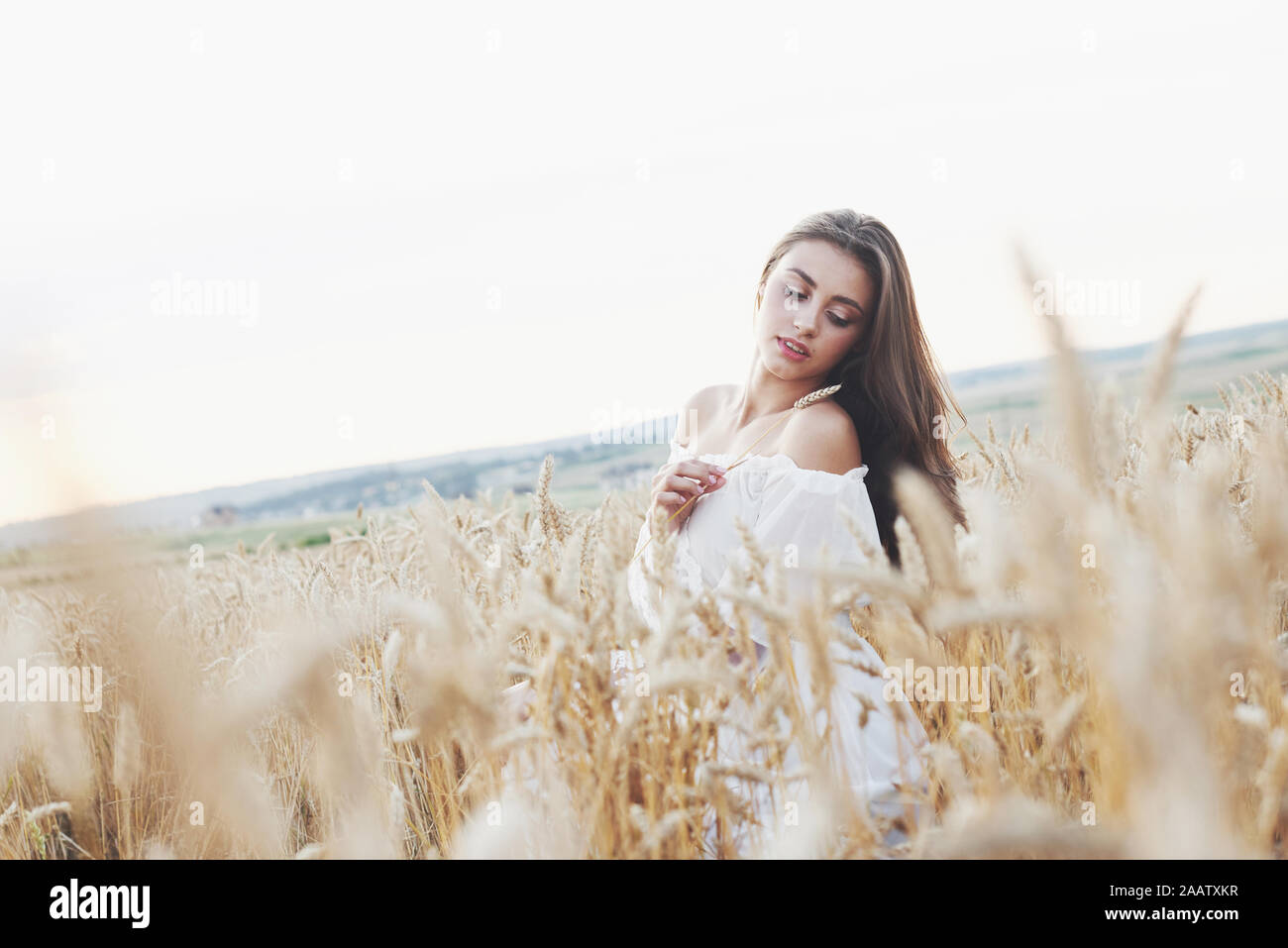 Beautiful girl in a field of wheat in a white dress, a perfect picture ...