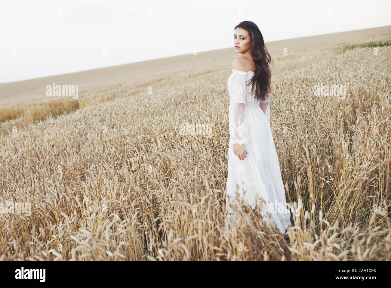 Beautiful girl in a field of wheat in a white dress, a perfect picture ...