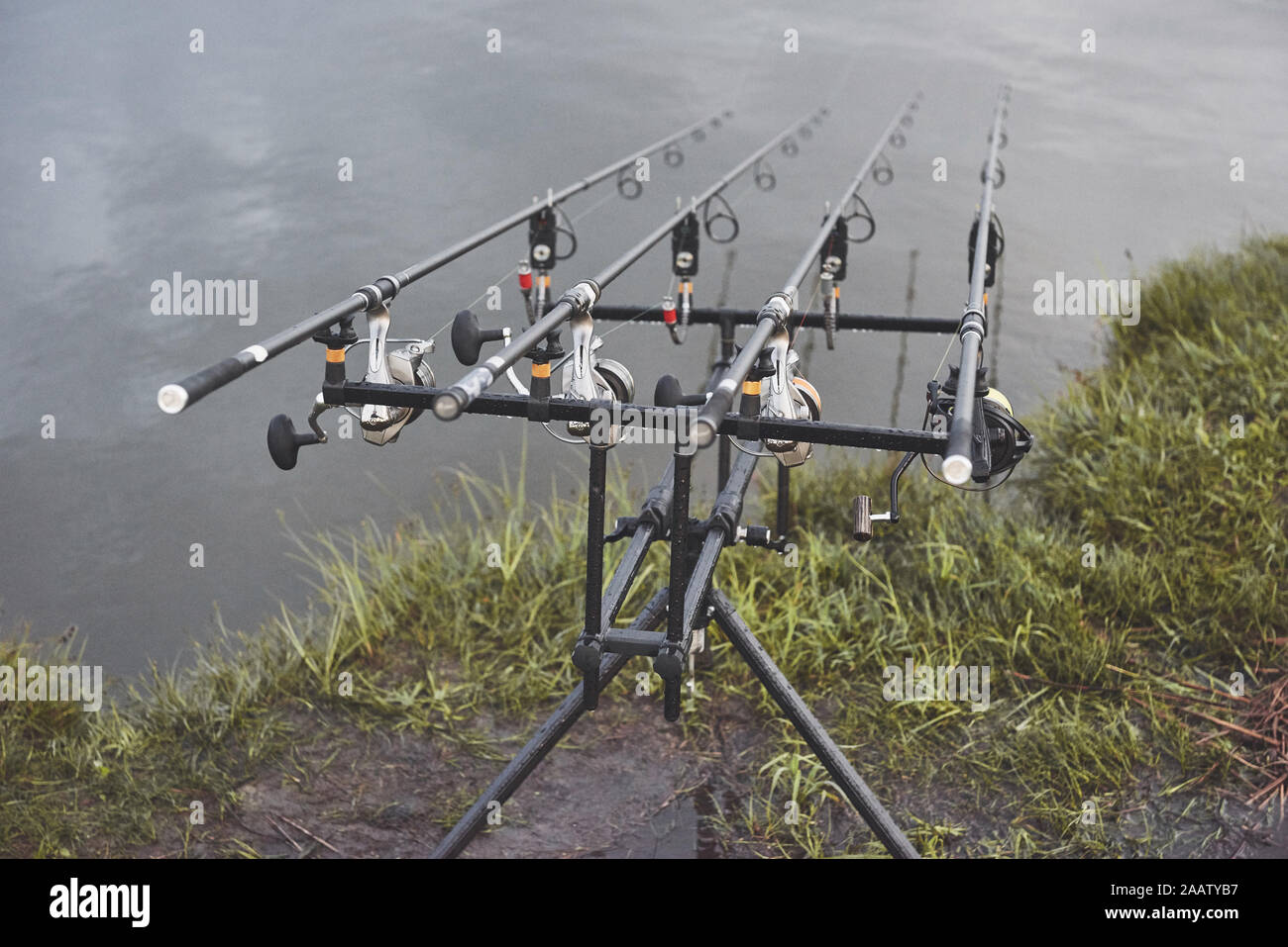 carp fishing combos
