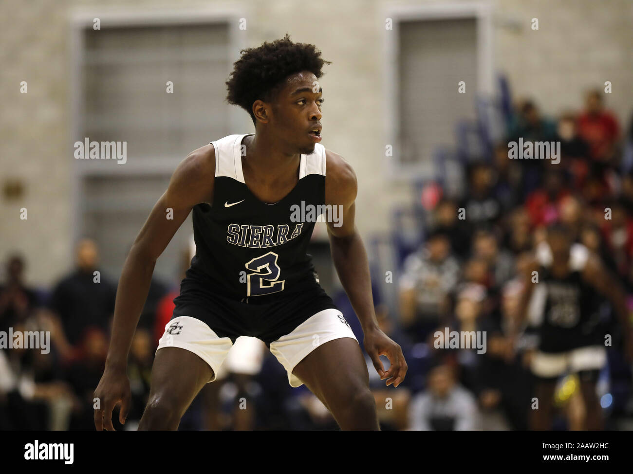 Zaire wade hi-res stock photography and images - Alamy