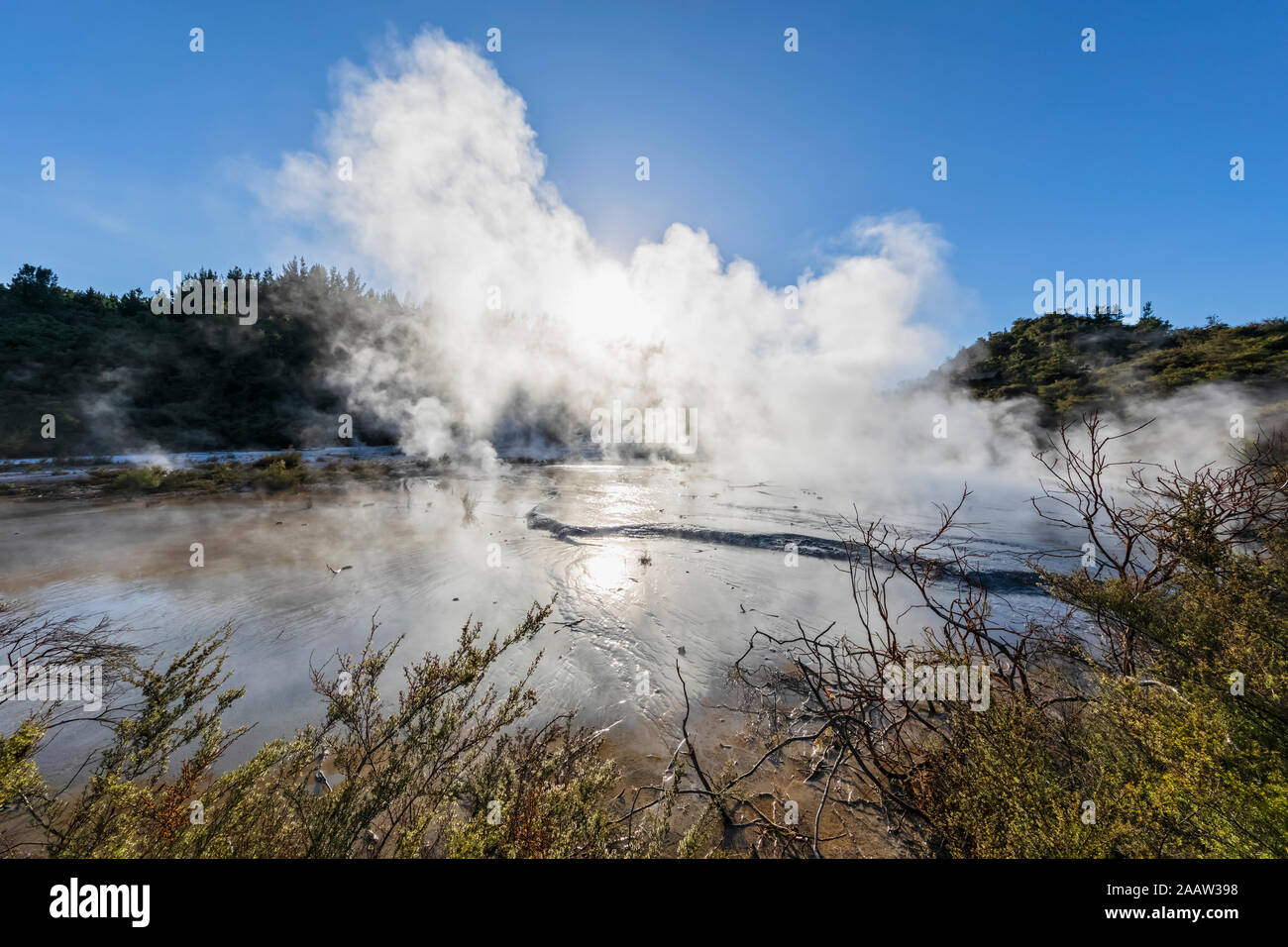 Orakei Korako Geothermal Park, Taupo Volcanic Zone, North Island, New Zealand Stock Photo