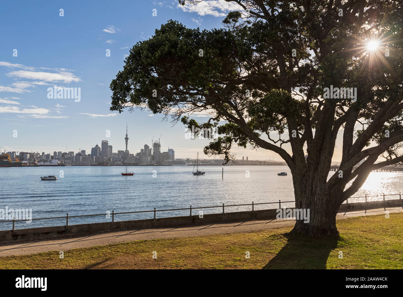 Modern buildings and Devonport by sea against sky in Auckland, New Zealand Stock Photo