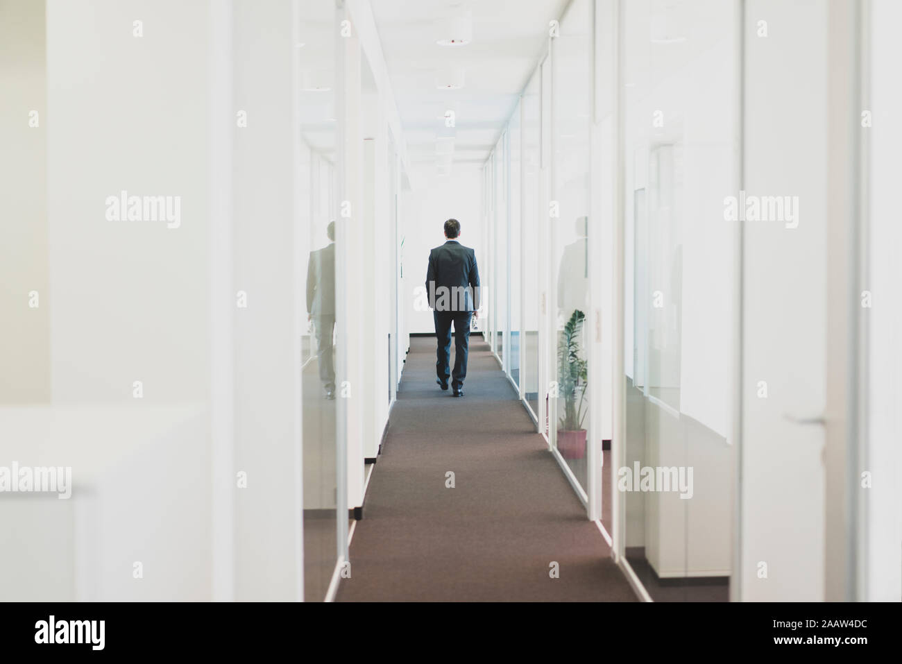 Rear view of businessman walking down office corridor Stock Photo