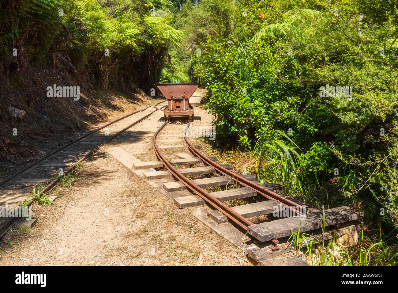 New Zealand, North Island, Waikato, landscape with railroad tracks Stock Photo