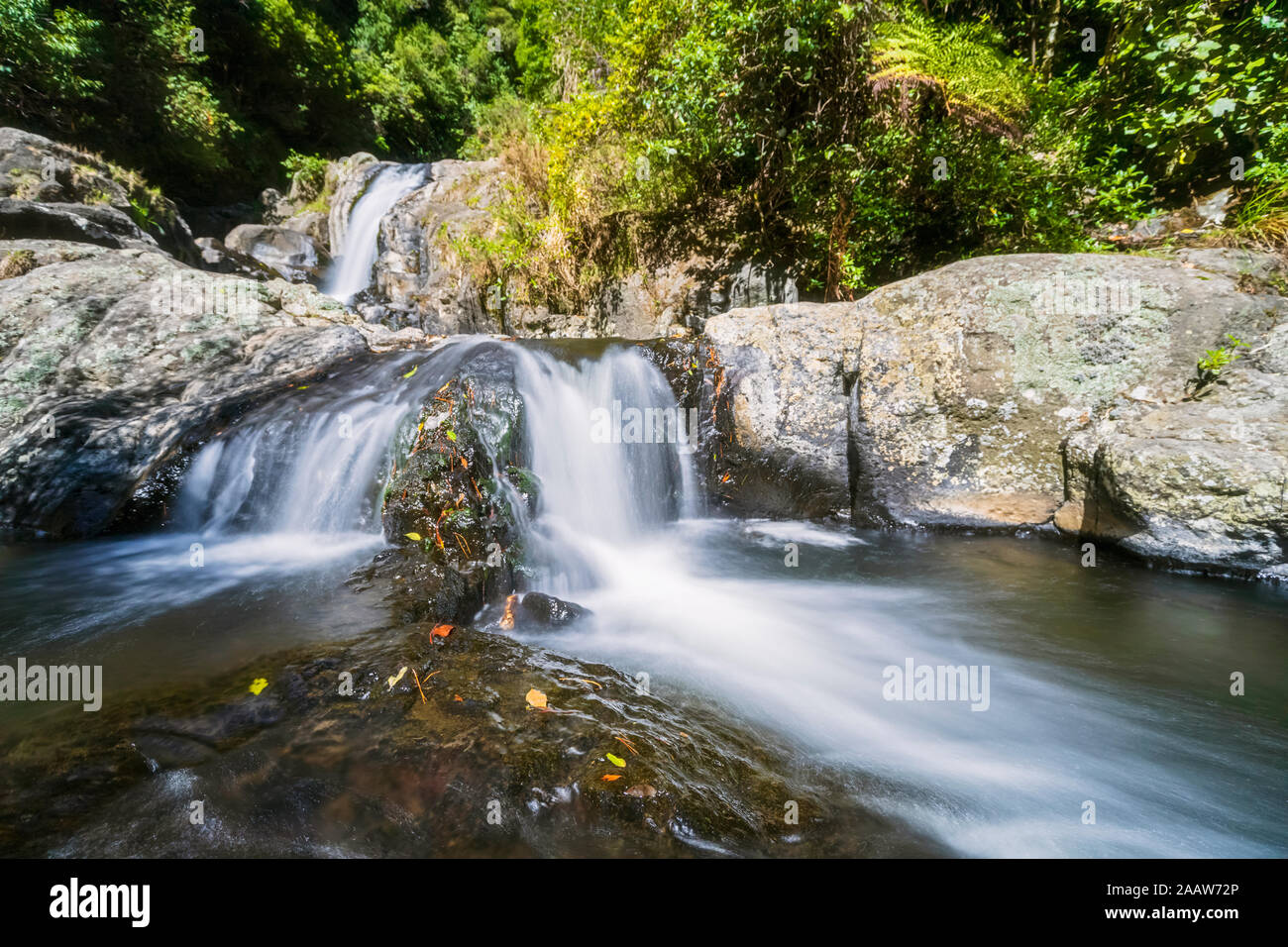 Upper Falls, Kaiate Falls, Bay of Plenty, North Island, New Zealand Stock Photo