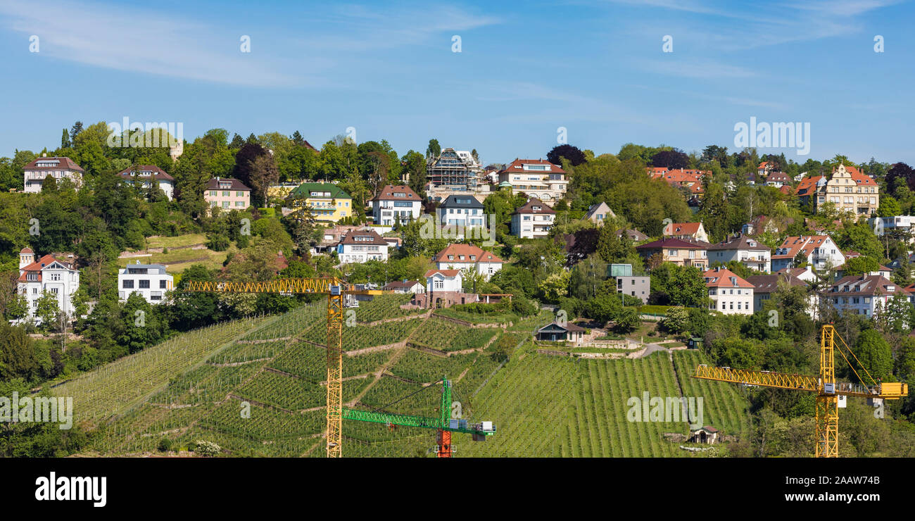 Scenic view of vineyard against sky in Stuttgart, Germany Stock Photo
