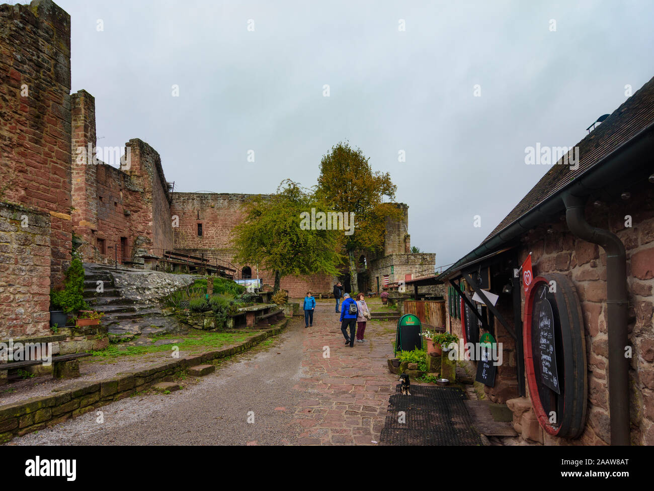 Eschbach: Madenburg Castle in Weinstraße, German Wine Route, Rheinland-Pfalz, Rhineland-Palatinate, Germany Stock Photo