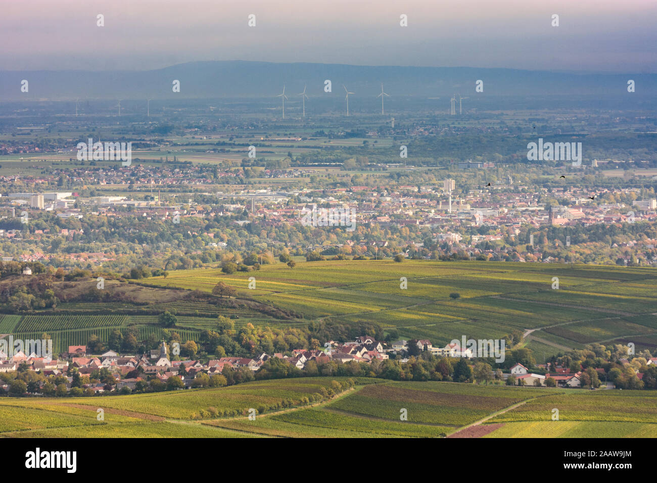 Göcklingen: town Landau in der Pfalz, Rhine Valley, vineyards in  Weinstraße, German Wine Route, Rheinland-Pfalz, Rhineland-Palatinate,  Germany Stock Photo - Alamy