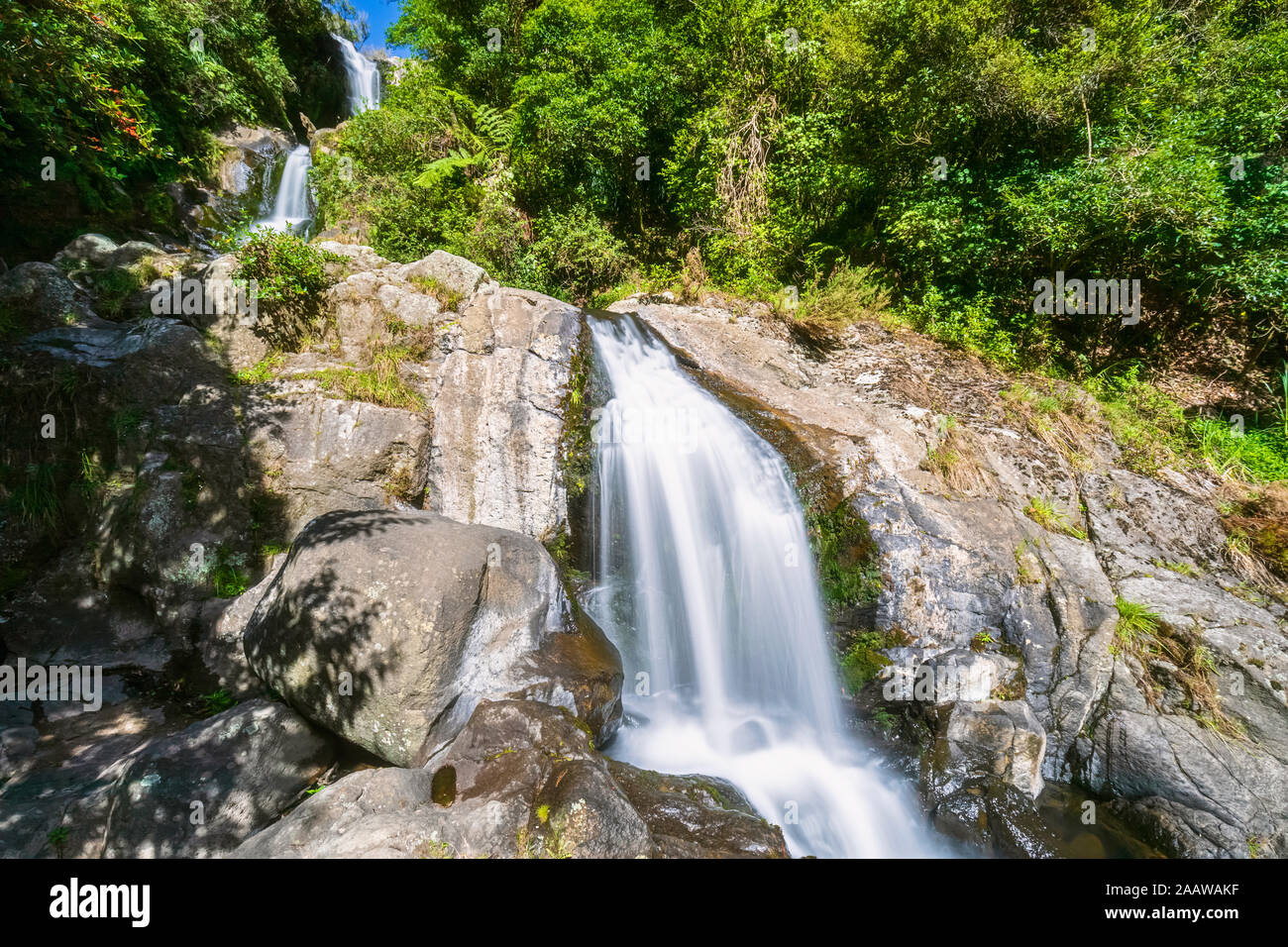 Upper Falls, Kaiate Falls, Bay of Plenty, North Island, New Zealand Stock Photo