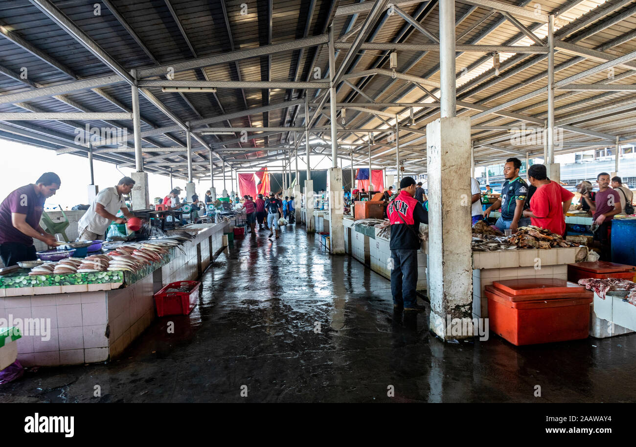 Life at Kota Kinabalu fish market Sabah Malaysia Borneo Stock Photo Alamy