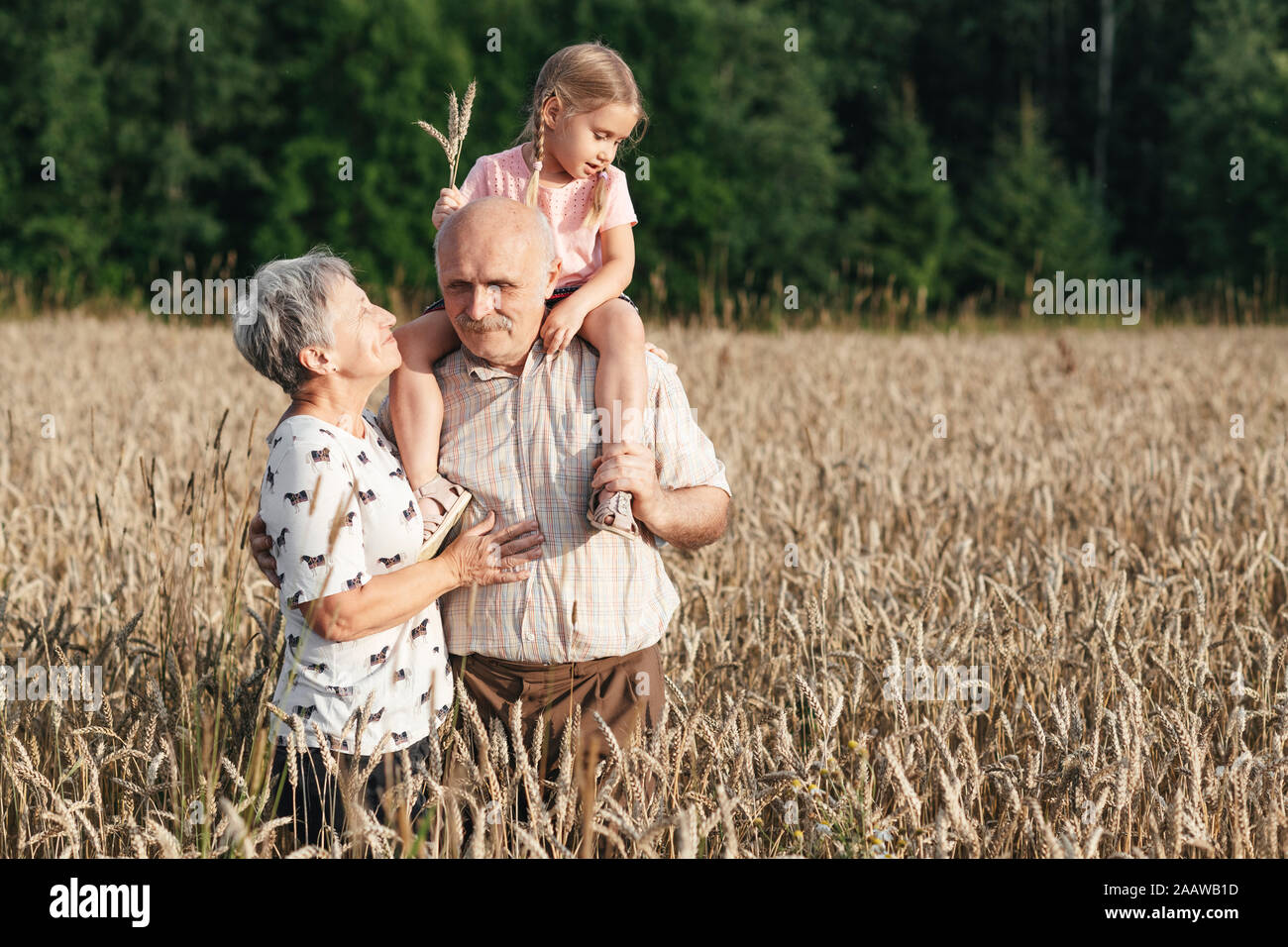 Family portrait of grandparents with their granddaughter in an oat field Stock Photo