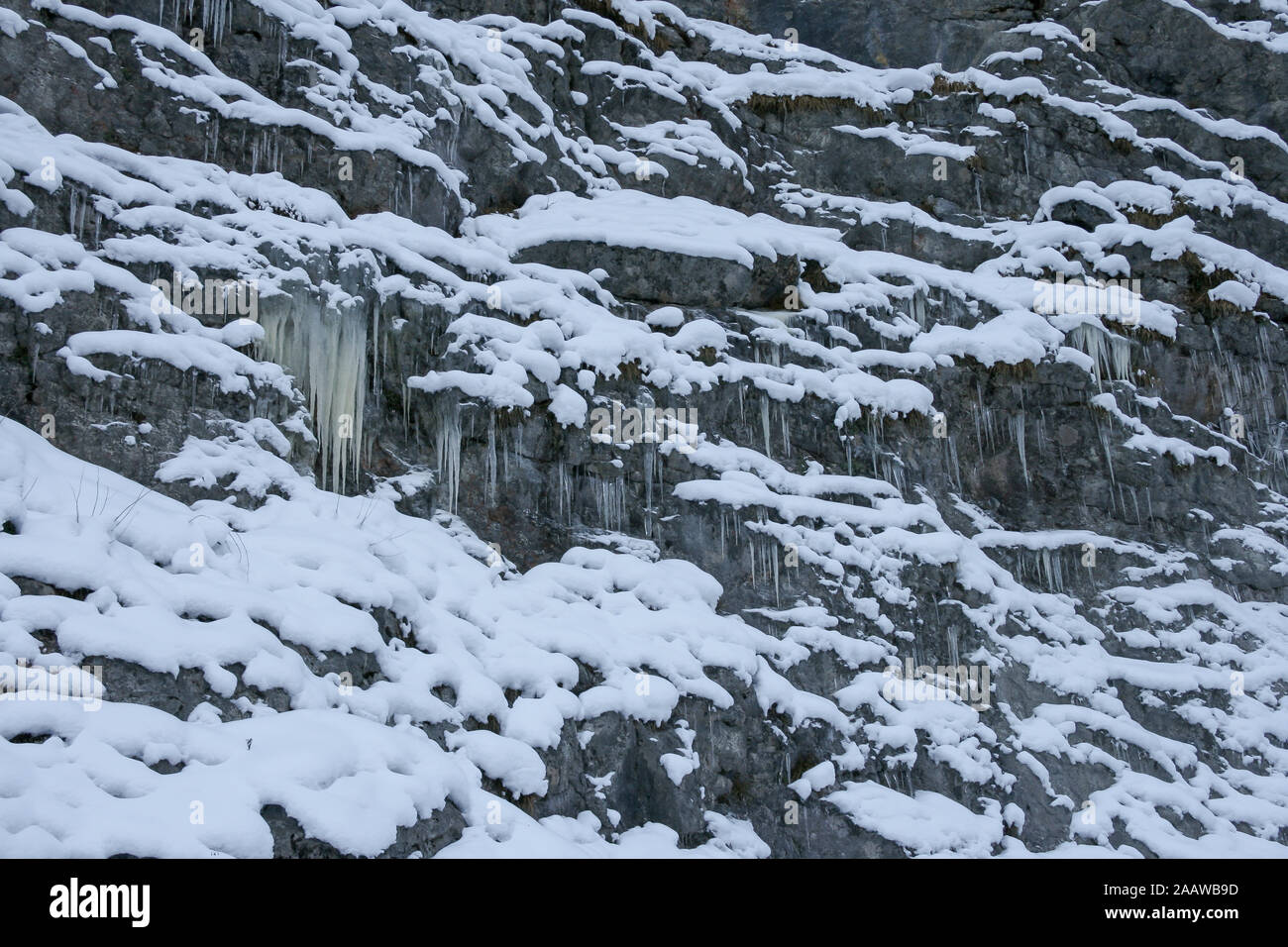 A lot of icicles have been formed due to the water rushing down the mountains and then freezing while falling down a cliff. Stock Photo