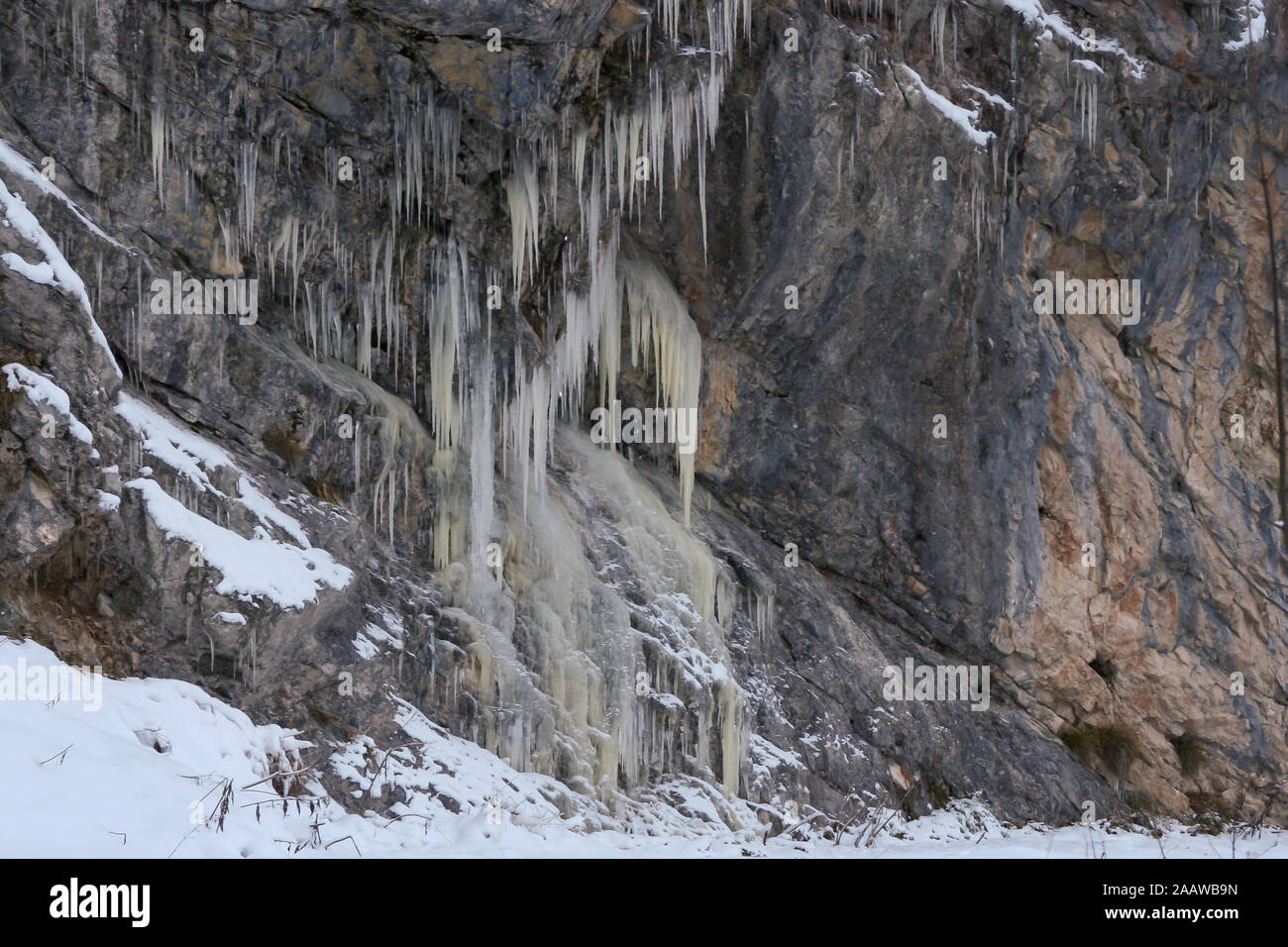 A lot of icicles have been formed due to the water rushing down the mountains and then freezing while falling down a cliff. Stock Photo