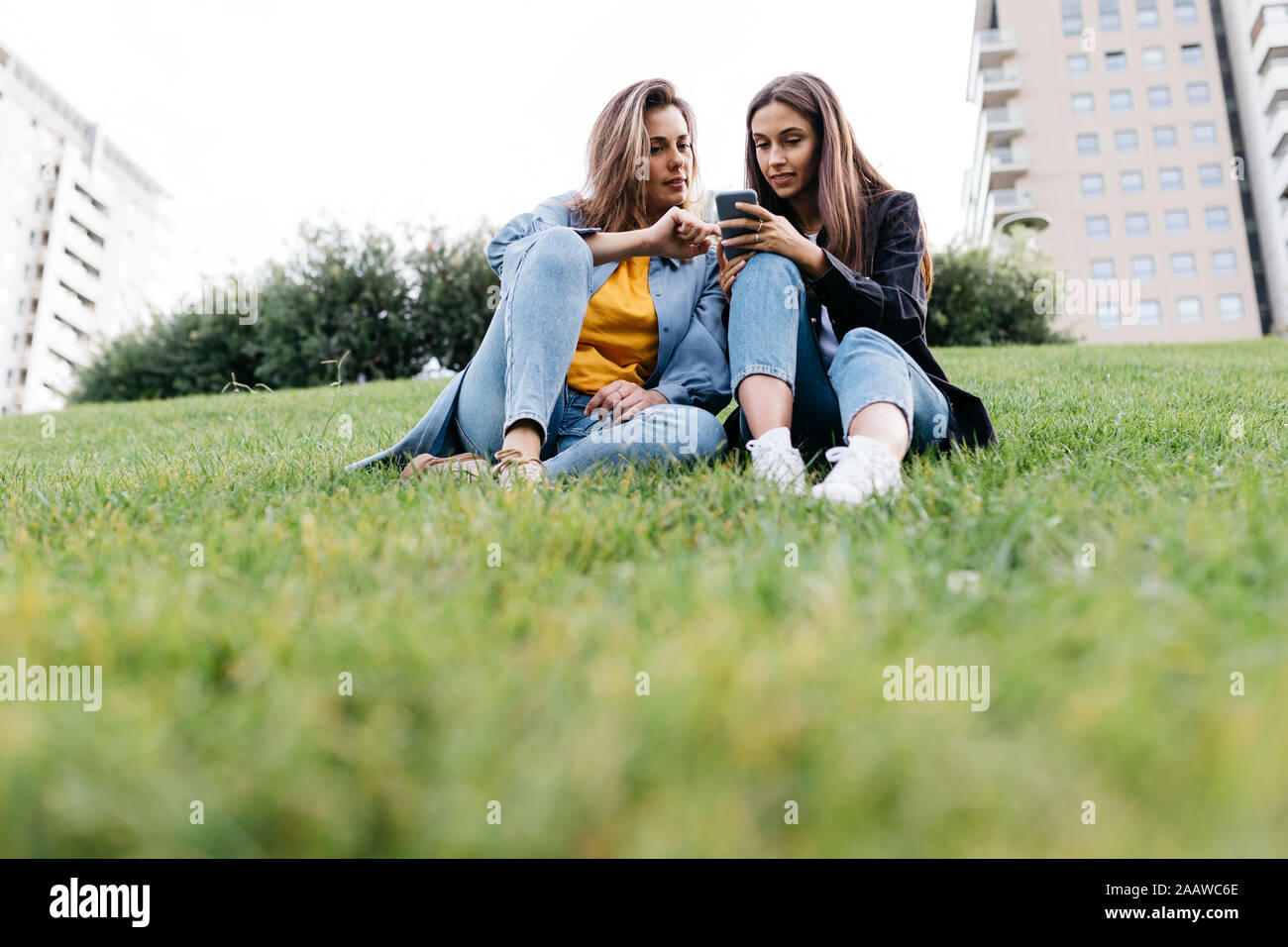 Two friends looking on the smartphone, sitting on a meadow of a park Stock Photo