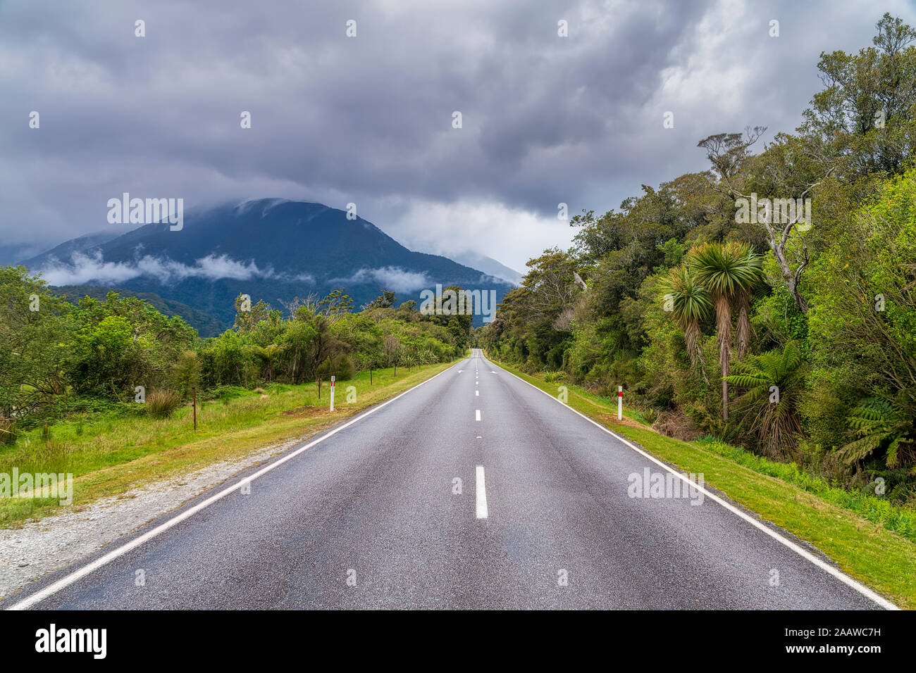 Haast Highway, South Island, New Zealand Stock Photo
