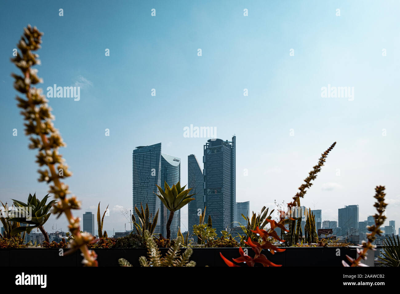 Torre mayor in mexico city hi-res stock photography and images - Alamy