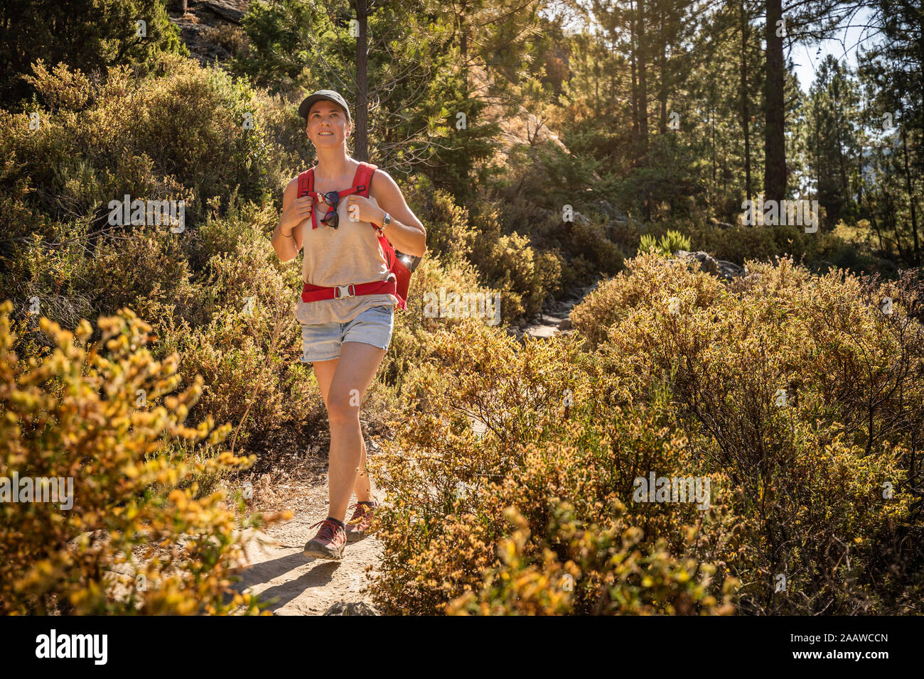 Female hiker during hike at Tavignano Valley, Corte, Haute-Corse, Corsica, France Stock Photo