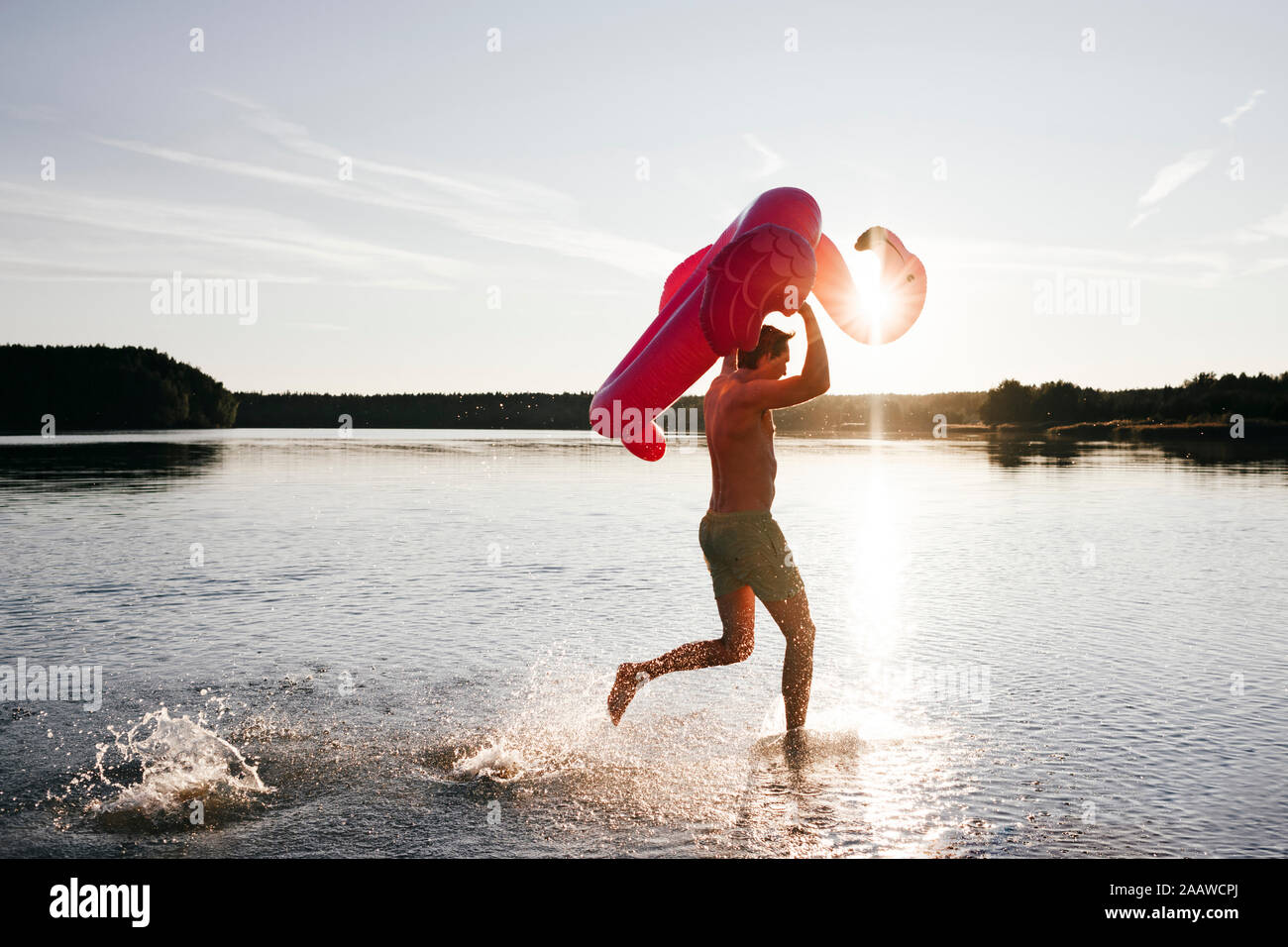 Young man running with flamingo pool float into a lake Stock Photo