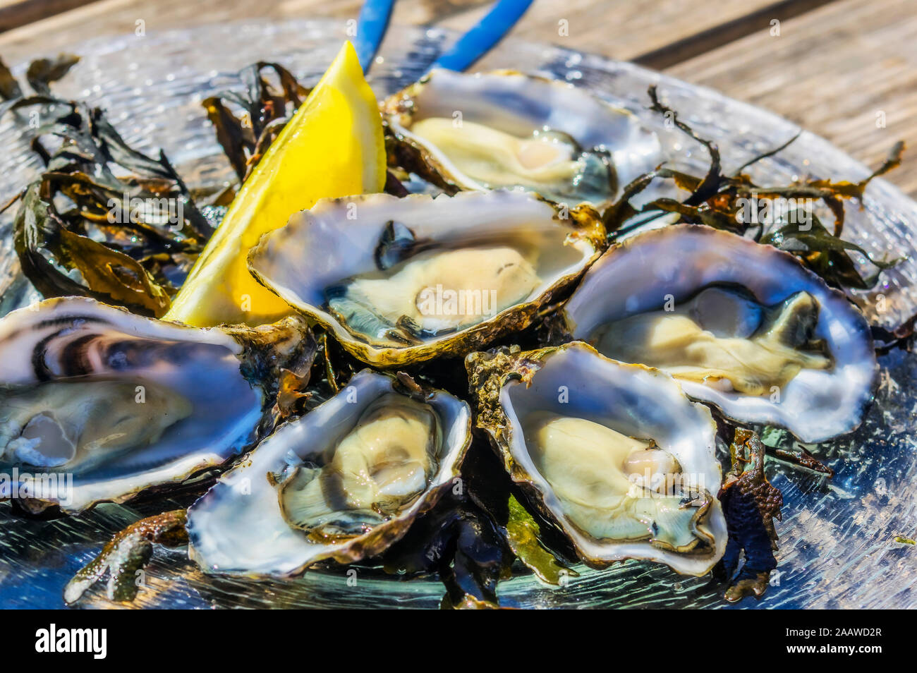 Netherlands, Zeeland, Yerseke, Fine de Claire oysters Stock Photo