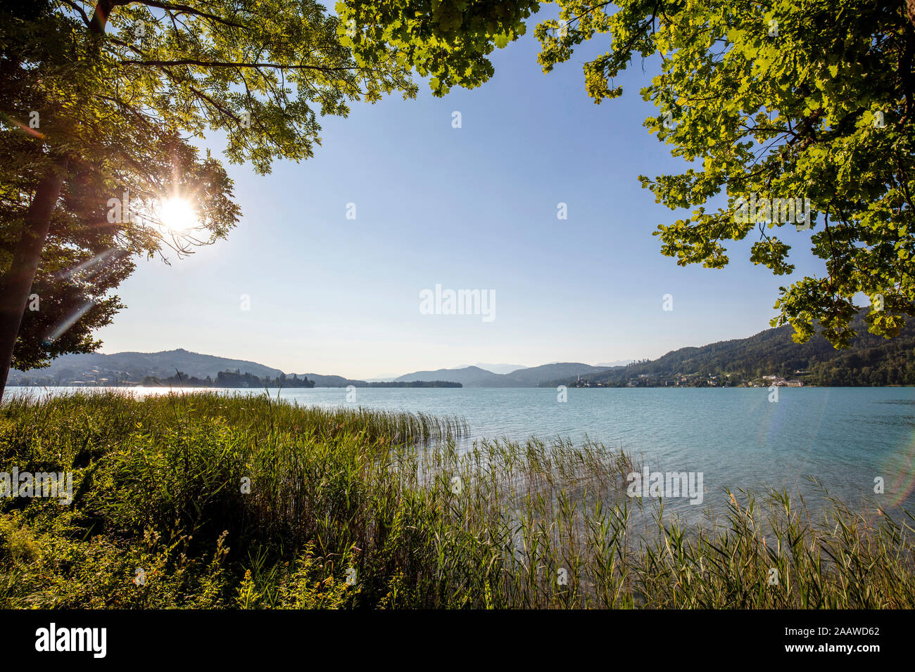 Scenic view of Woerthersee lake against clear sky during sunny day, Austria Stock Photo