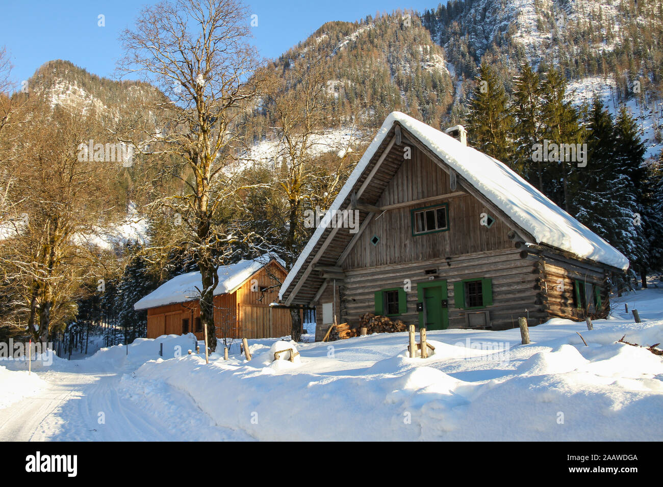 Nice little alpine chalet with a pile of wood in front covered in snow. Typical scene for the European Alps with mountains and trees in the background Stock Photo