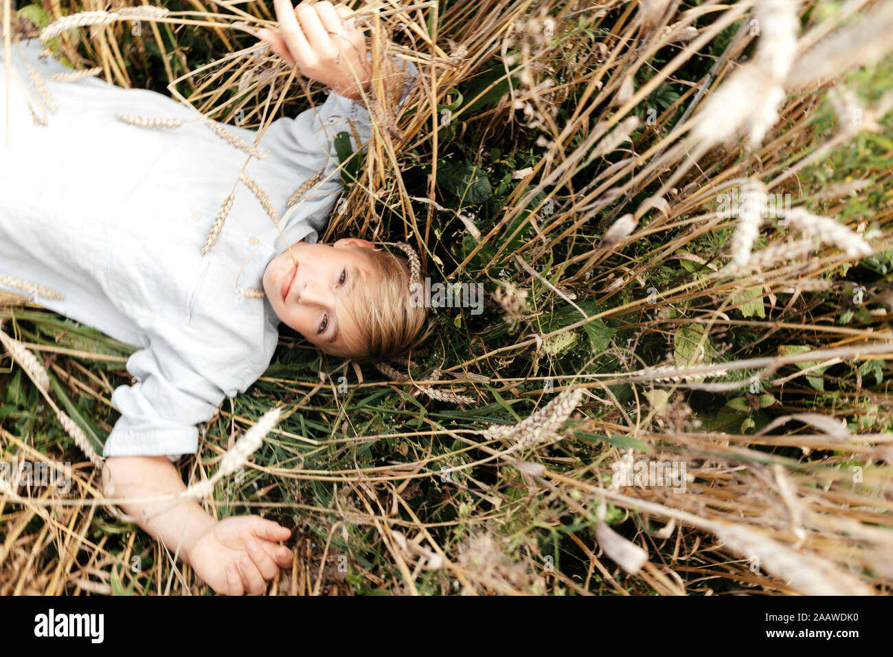 Portrait of blond boy with oat ear in mouth lying in an oat field Stock Photo