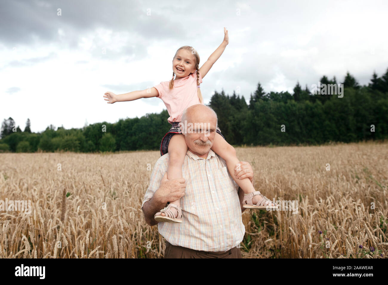 Portrait of happy little girl on grandfather's shoulders in an oat field Stock Photo